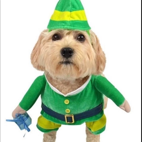 Other - Dog Elf Leprechaun Costume Small